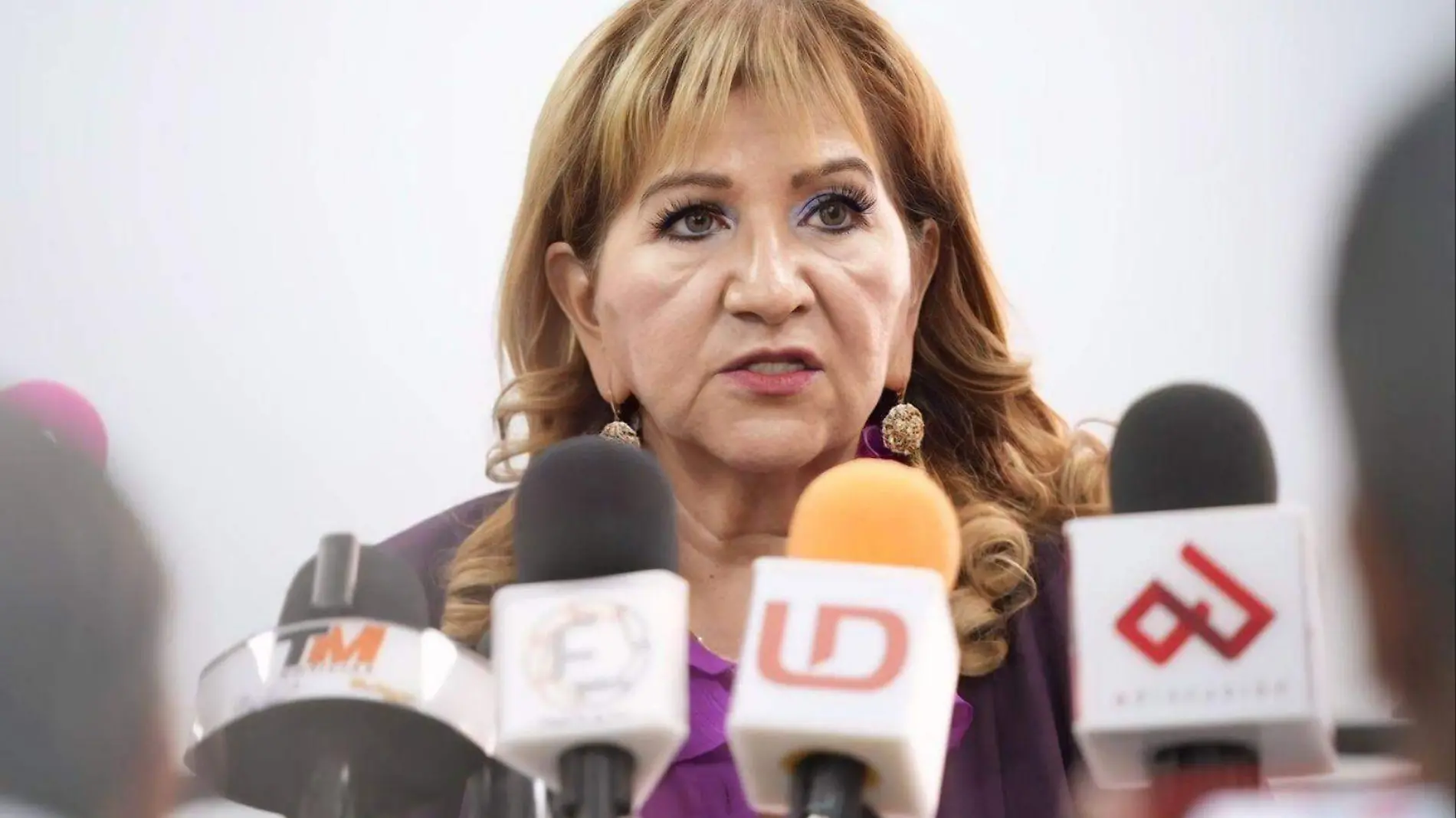 maria teresa ochoa